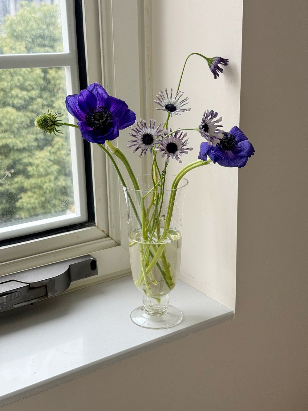 Footed glass flower vase displayed on a windowsill